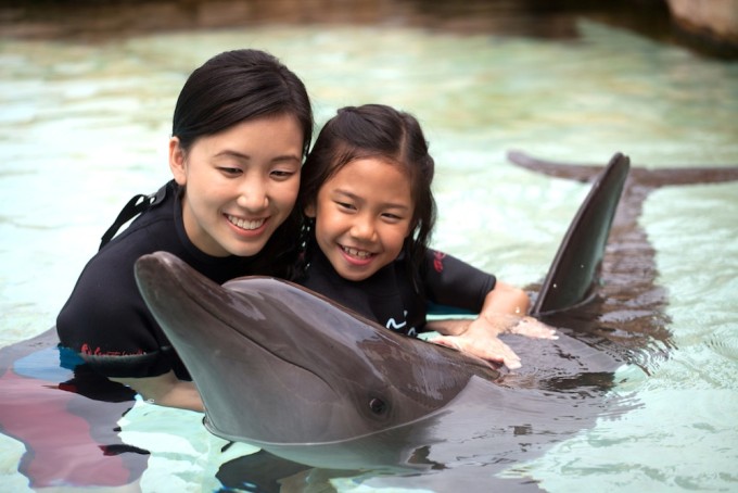 Dolphin Island - Interactions designed to be inspiring and educational experiences