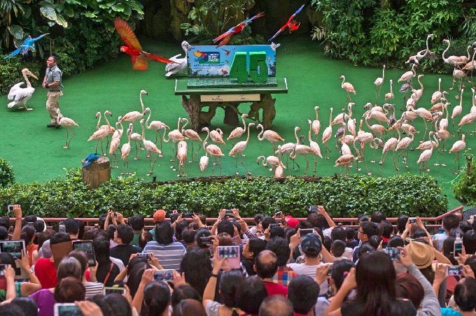 JBP45 - 2000-strong crowd during birthday edition of High Flyers Show with flamingos, pelicans & macaws_Fotor