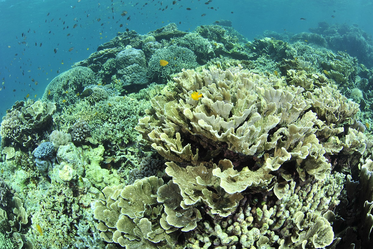 b85111105982c5d65de7751345fe66